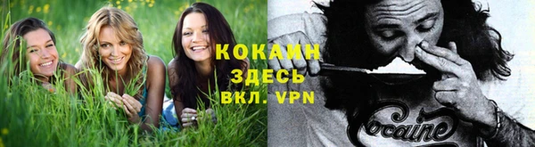 марки nbome Новозыбков
